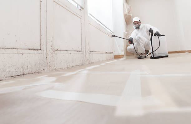 24/7 Emergency Mold Remediation experts in Jamestown, NY